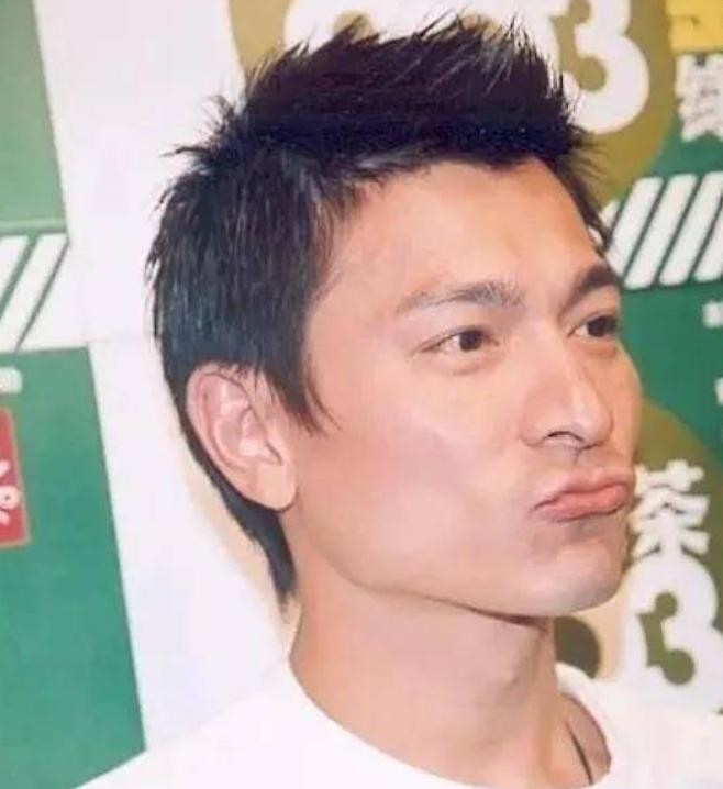 起初，刘德华将位于四川的一家名为“刘德华板鸭”的店铺告上了法庭。-IS